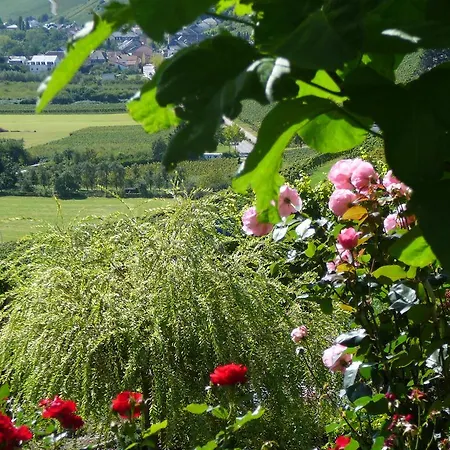 Des Vignes Restaurant Du Pressoir Hotel